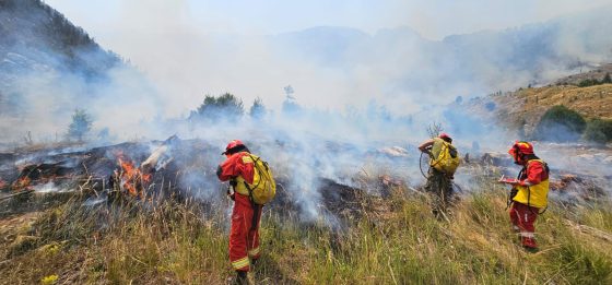 Angazhim maksimal nga veriu në jug për menaxhimin e situatës së zjarreve në vend