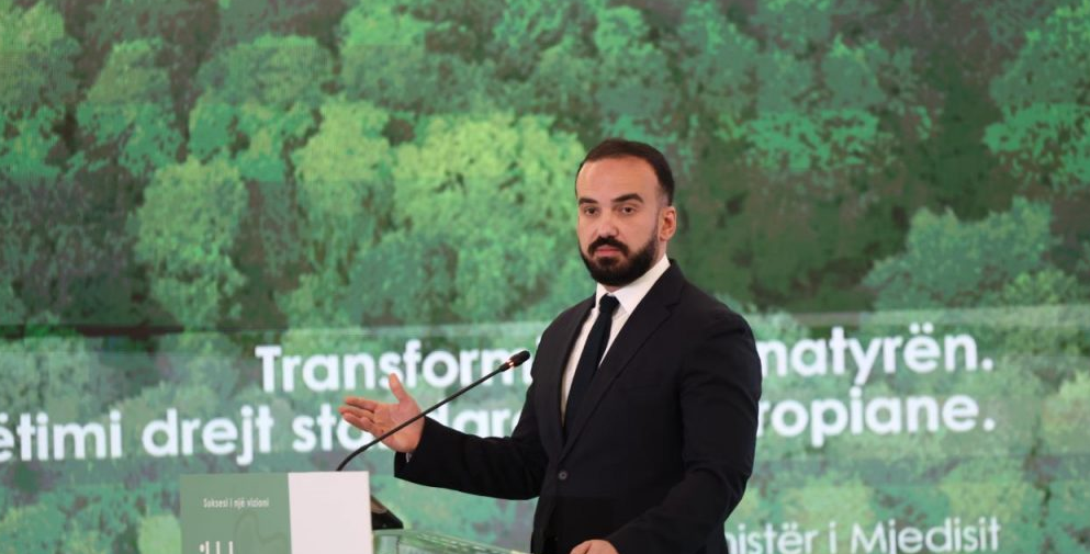 Samiti i Diasporës, Ministri Jaupaj: Diaspora thelbësore për tranzicionin e gjelbër dhe integrimin evropian